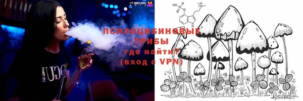кокс Алексин