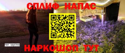 стаф Ставрополь