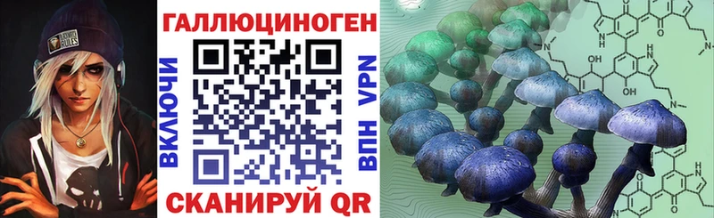 Галлюциногенные грибы GOLDEN TEACHER  цены наркотик  Нурлат 
