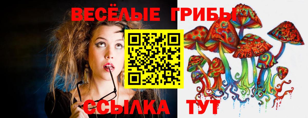 Галлюциногенные грибы Magic Shrooms  Галлюциногенные грибы мицелий  Нурлат  Вход с VPN 